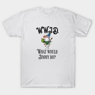 what would jimmy do? winter time. T-Shirt